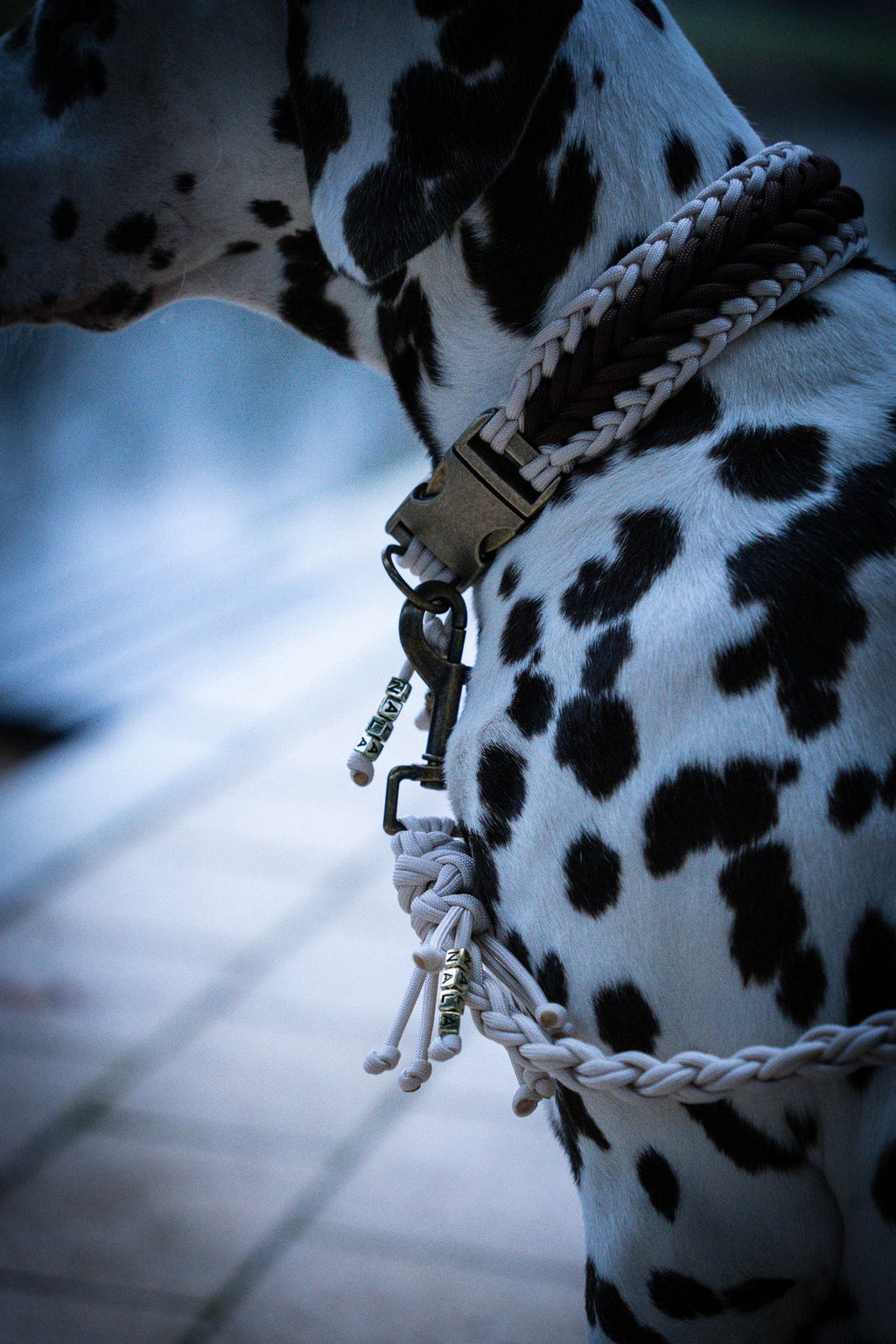 Classic Halsband Nala🤎