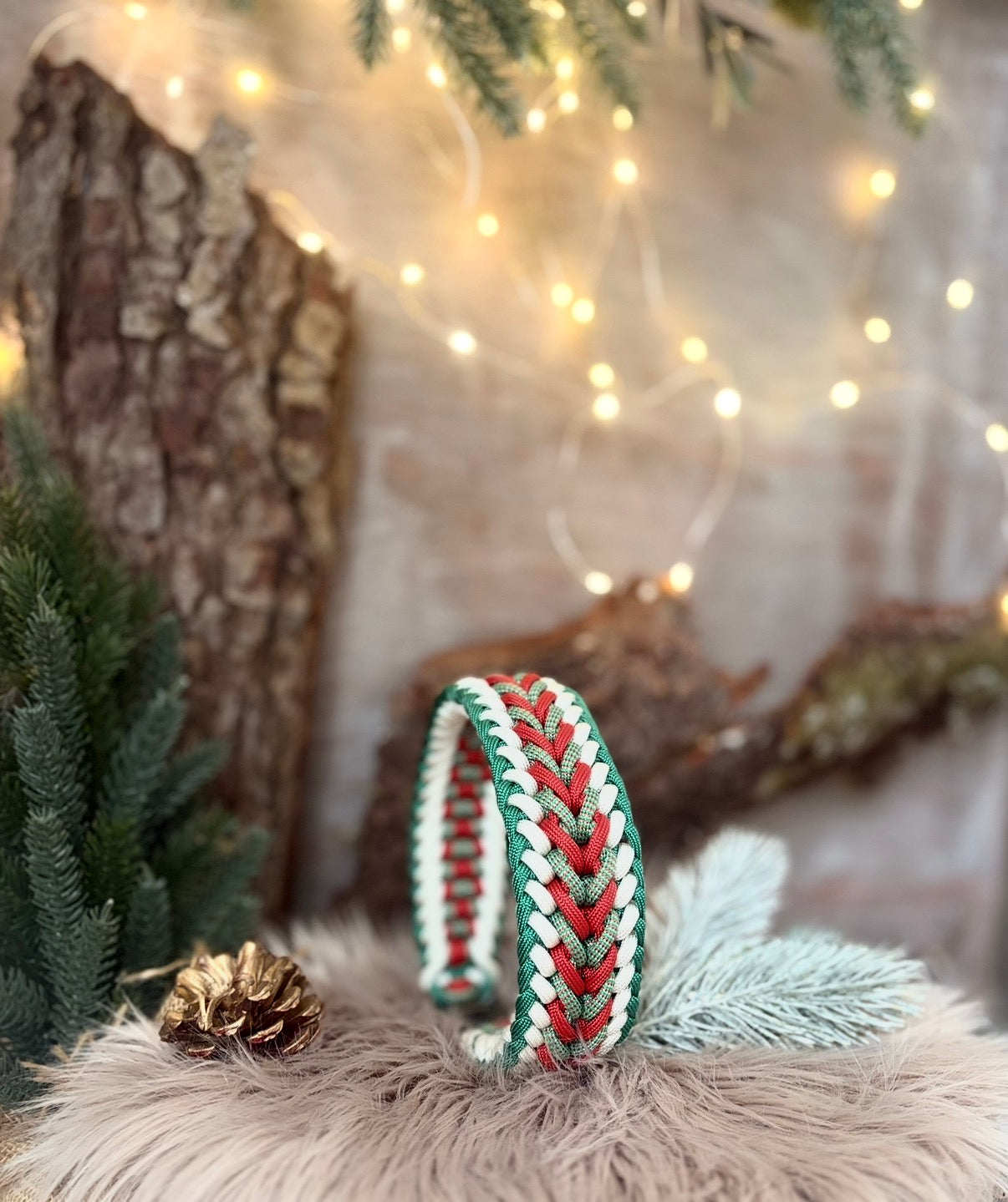 🎄Evergreen Classic 🎄