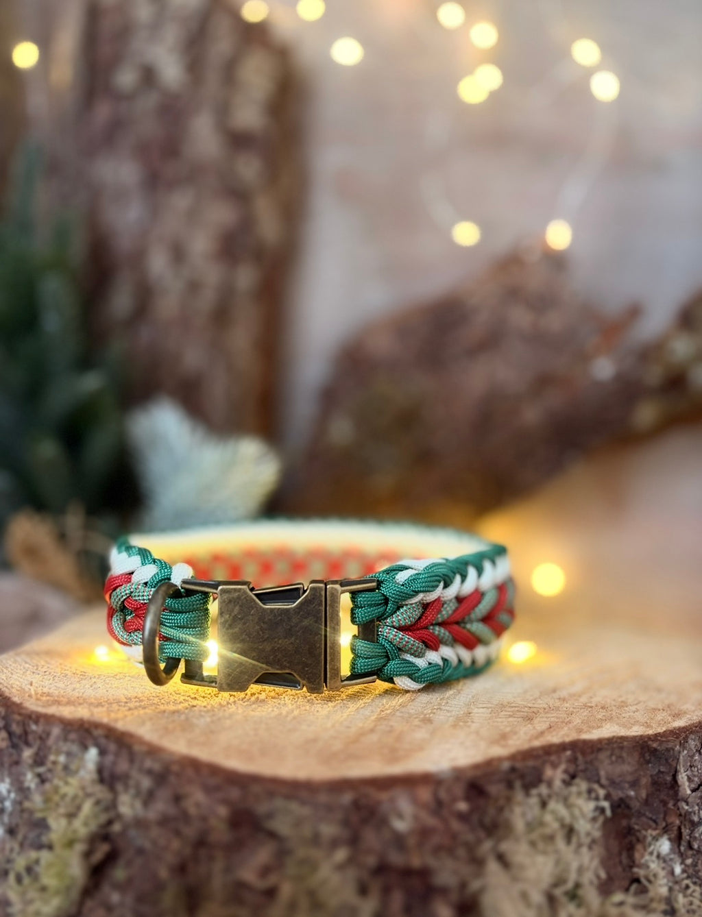 🎄Evergreen Classic 🎄