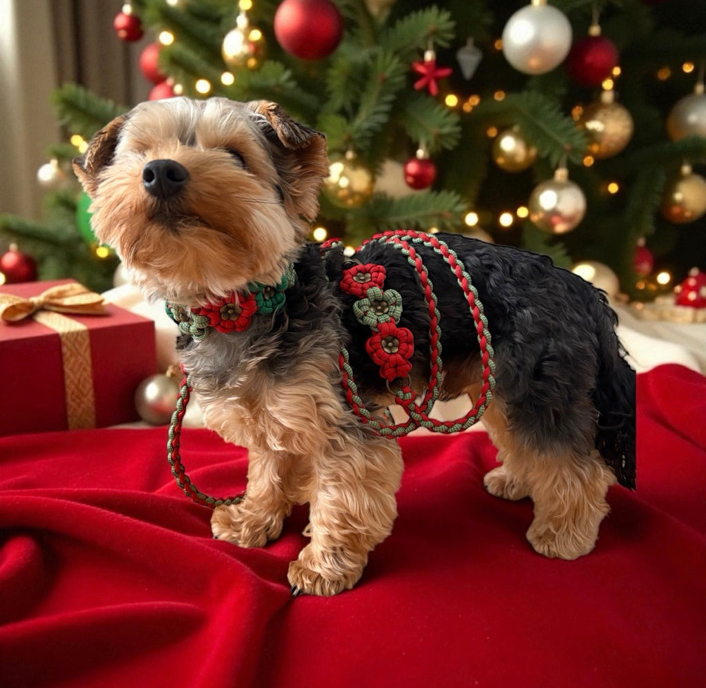 Blumen - Weihnachtshalsband