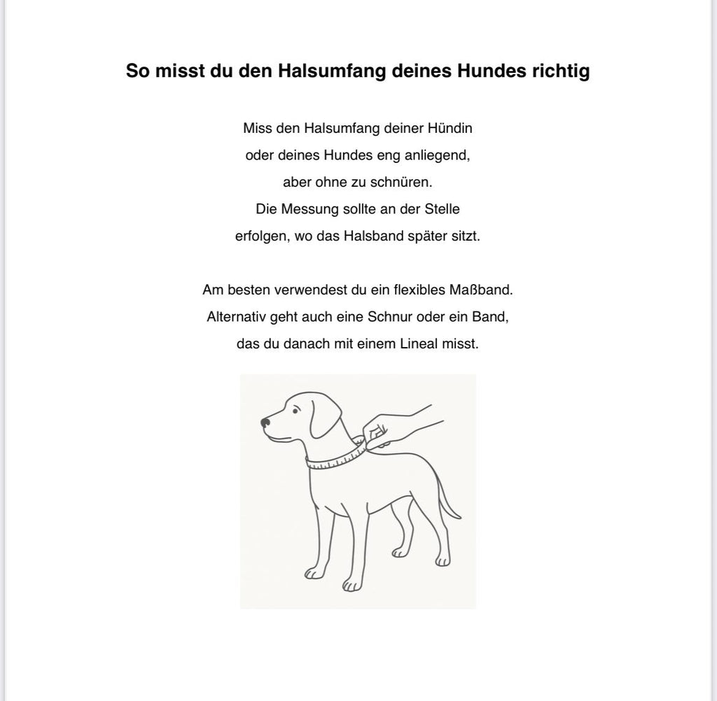 🌸 Blumenhalsband Stella 🌸