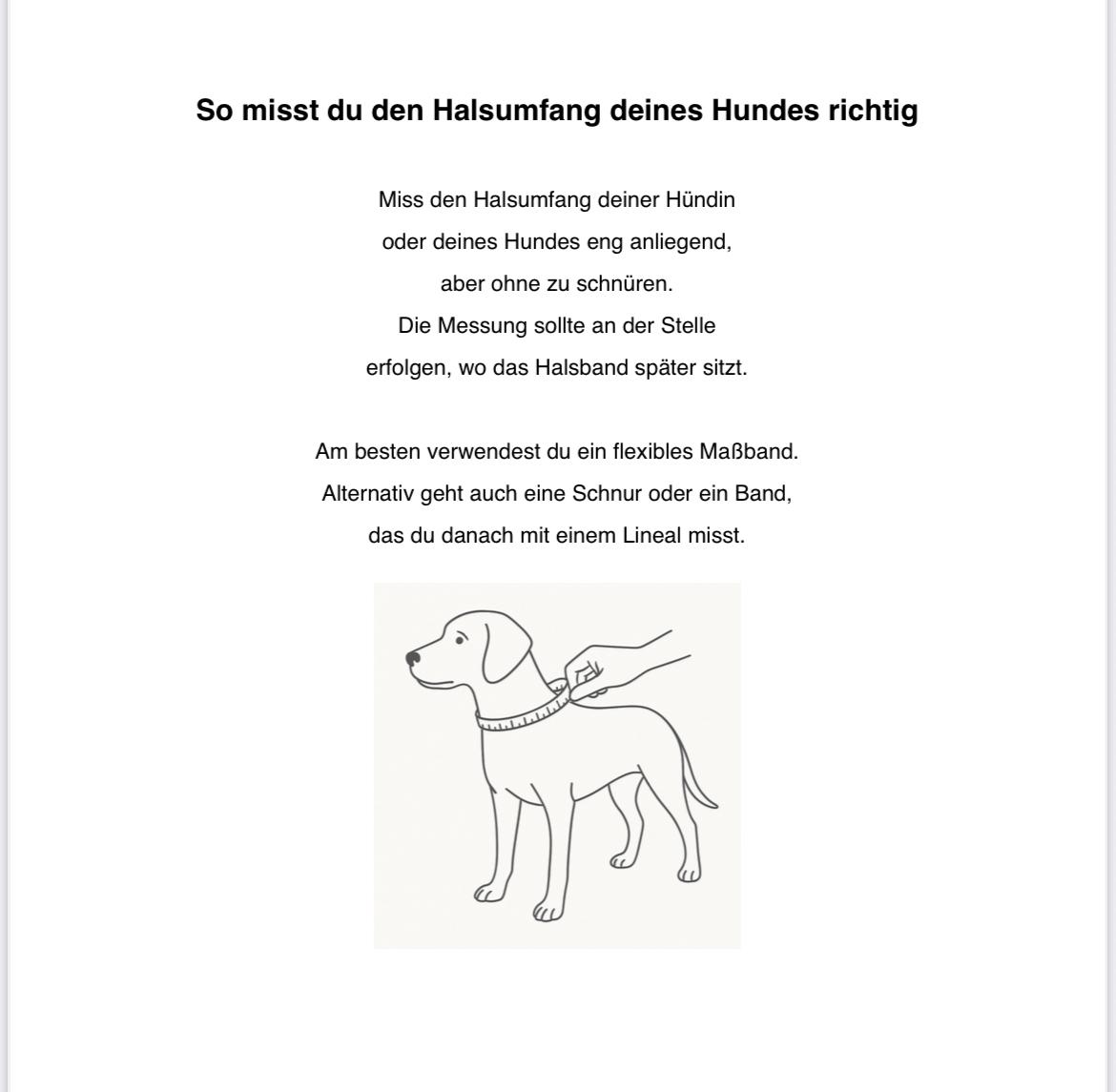 🌸 Blumenhalsband Stella 🌸