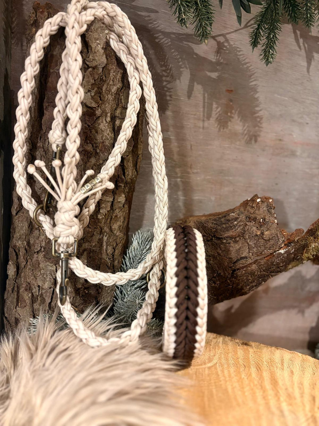 Classic Set Nala  🤎✨