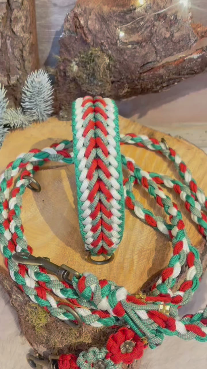 🌲 Evergreen Set Classic – Leine & Halsband im passenden Design